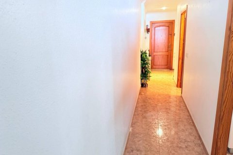 Apartment for sale La Mata, Alicante, Spain 3 bedrooms, 100 sq.m. No. 125274 - photo 21