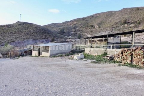 Komerciāls īpašums pārdošanā Cantoria, Almeria, Spānijā 2 istabas, 300 m2 Nr. 129120 - attēls 11