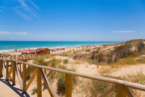 Land plot for sale Guardamar del Segura, Alicante, Spain 3 bedrooms, 89 sq.m. No. 127108 - photo 14