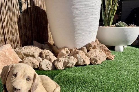 Bungalow Los Montesinos, Alicante, Hiszpania 3 sypialnie, 110 mkw. nr 125703 – zdjęcie 7