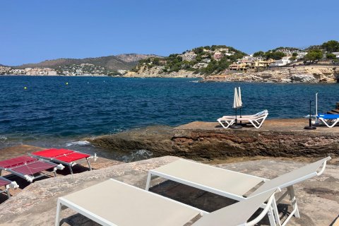 Apartment for rent Costa De La Calma, Mallorca, Spain 1 bedroom, 45 sq.m. No. 131043 - photo 12