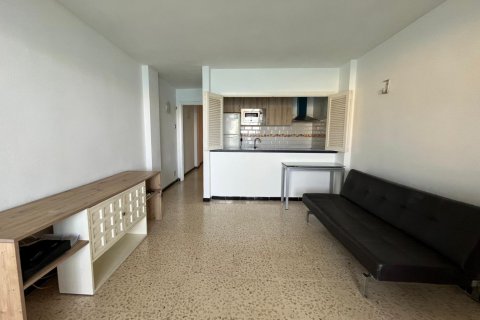 Apartment for rent Costa De La Calma, Mallorca, Spain 1 bedroom, 45 sq.m. No. 131043 - photo 4