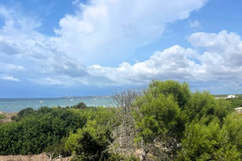 Apartment for rent Les Covetes, Mallorca, Spain 3 bedrooms, 115 sq.m. No. 131048 - photo 10