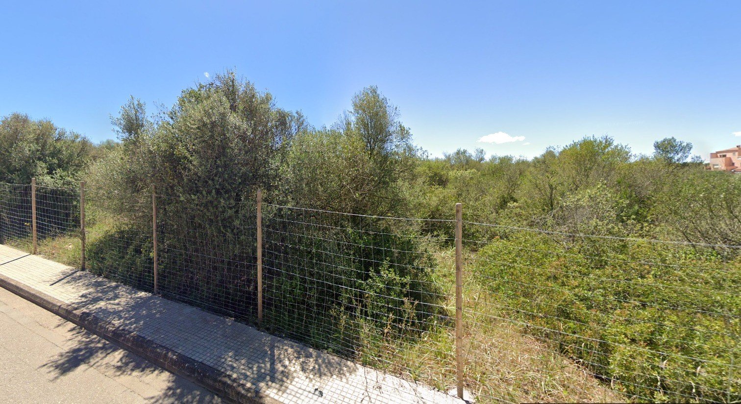 Terreno a Algaida, Mallorca, Spagna 17020 mq. N° 131044