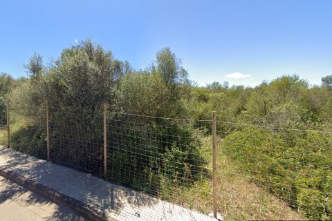 Land plot for sale Algaida, Mallorca, Spain 17020 sq.m. No. 131044 - photo 2