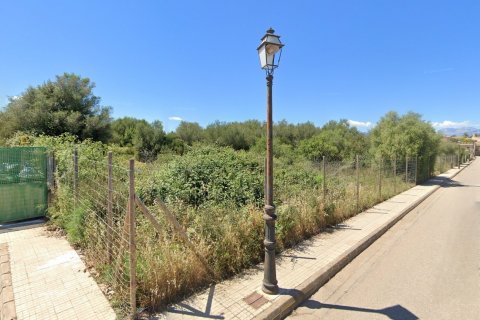 Land plot for sale Algaida, Mallorca, Spain 17020 sq.m. No. 131044 - photo 1