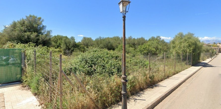 Land plot Algaida, Mallorca, Spain 17020 sq.m. No. 131044