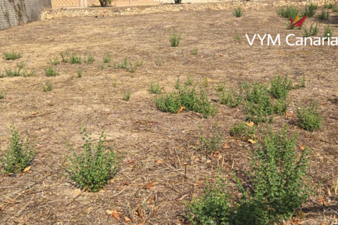 Zemes gabals pārdošanā Alfaz del Pi, Alicante, Spānijā 1000 m2 Nr. 129986 - attēls 1