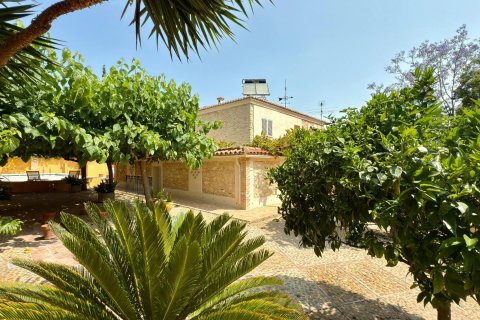 Apartamento en venta Alicante, España 6 dormitorios, 500 m2 No. 127284 - foto 28