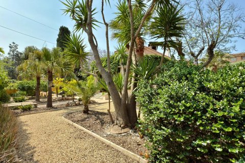 Apartamento en venta Alicante, España 6 dormitorios, 500 m2 No. 127284 - foto 19