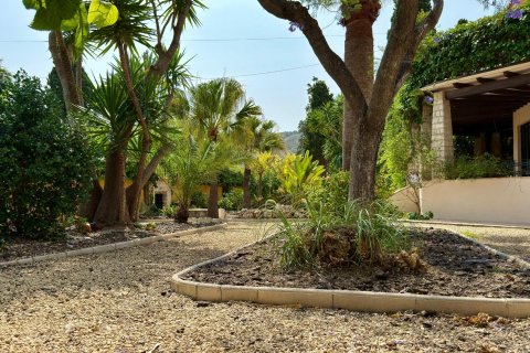 Apartamento en venta Alicante, España 6 dormitorios, 500 m2 No. 127284 - foto 17