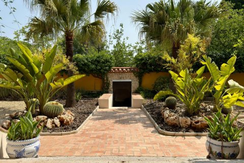 Apartamento en venta Alicante, España 6 dormitorios, 500 m2 No. 127284 - foto 8