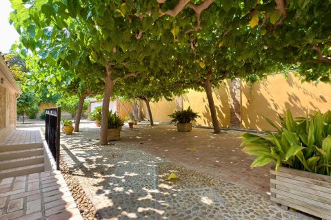 Apartamento en venta Alicante, España 6 dormitorios, 500 m2 No. 127284 - foto 27