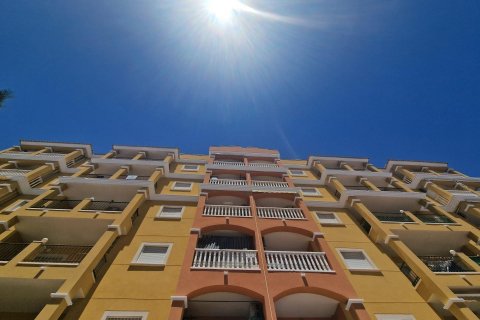 Apartment à vendre Torrevieja, Alicante, Espagne, 3 chambres, 90 m2 No. 128692 - photo 5