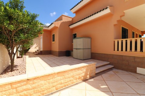 Villa à vendre Ciudad Quesada, Alicante, Espagne, 4 chambres, 175 m2 No. 131559 - photo 22