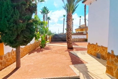 Finca à vendre Catral, Alicante, Espagne, 3 chambres, 140 m2 No. 131558 - photo 21