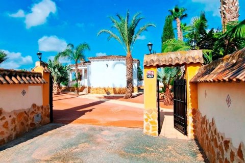 Finca à vendre Catral, Alicante, Espagne, 3 chambres, 140 m2 No. 131558 - photo 5