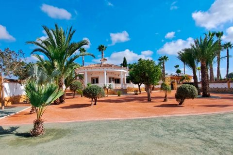 Finca à vendre Catral, Alicante, Espagne, 3 chambres, 140 m2 No. 131558 - photo 1