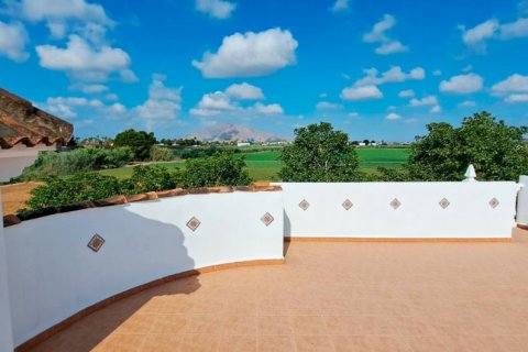 Finca à vendre Catral, Alicante, Espagne, 3 chambres, 140 m2 No. 131558 - photo 4