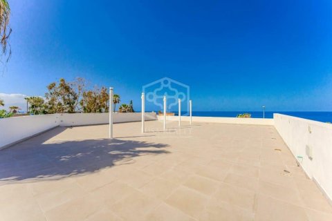 Gewerbeimmobilien zum Verkauf Callao Salvaje, Tenerife, Spanien 17 Schlafzimmer, 819 m2 Nr. 128036 - Foto 15