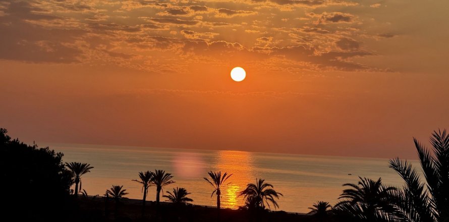 Apartamento San Miguel de Salinas, Alicante, España 3 dormitorios, 98 m2 No. 127008