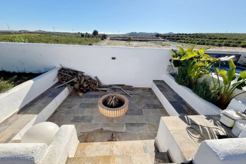 Villa for sale San Miguel de Salinas, Alicante, Spain 4 bedrooms, 300 sq.m. No. 131885 - photo 24