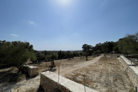Finca in affitto Lloret De Vistalegre, Mallorca, Spagna 3 camere da letto, 120 mq. N° 128287 - foto 4