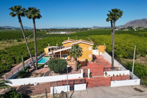 Villa for sale Orihuela, Alicante, Spain 5 bedrooms, 400 sq.m. No. 121146 - photo 12