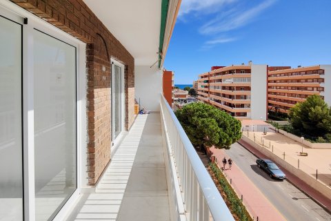 Apartment à vendre Alicante, Espagne, 2 chambres, 70 m2 No. 125626 - photo 14