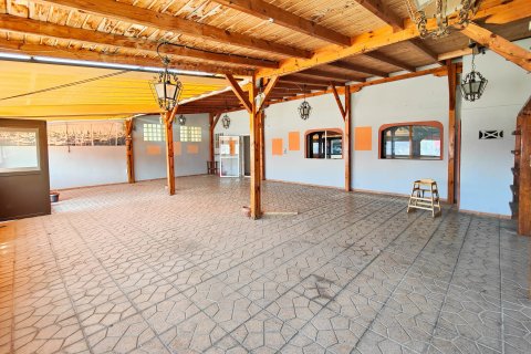 Apartment for sale Torrevieja, Alicante, Spain 6 bedrooms, 270 sq.m. No. 125623 - photo 5