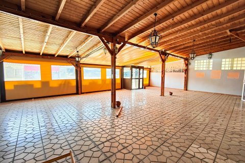 Apartment for sale Torrevieja, Alicante, Spain 6 bedrooms, 270 sq.m. No. 125623 - photo 4