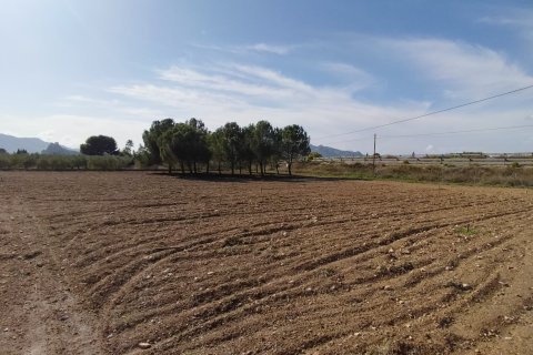 Villa pārdošanā Sax, Alicante, Spānijā 4 istabas, 270 m2 Nr. 125628 - attēls 18