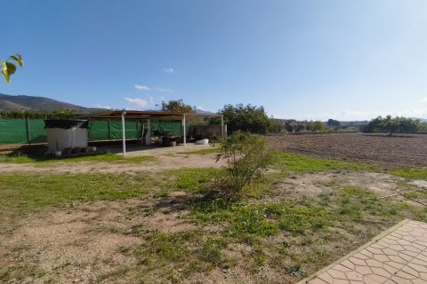 Villa pārdošanā Sax, Alicante, Spānijā 4 istabas, 270 m2 Nr. 125628 - attēls 17