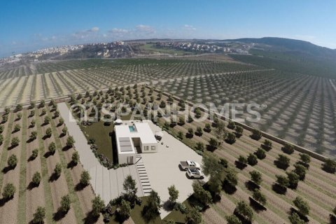 Huvila myytävänä Algorfa, Alicante, Espanja, 4 makuuhuonetta, 200 m2 No. 120645 - kuva 14