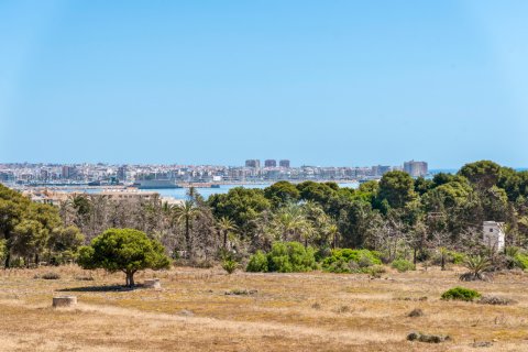 Apartment for sale Torrevieja, Alicante, Spain 2 bedrooms,  No. 126995 - photo 24