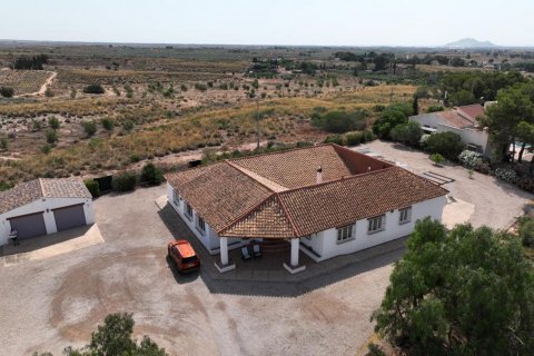 Finca à vendre Gea Y Truyols, Murcia, Espagne, 4 chambres, 420 m2 No. 131975 - photo 13
