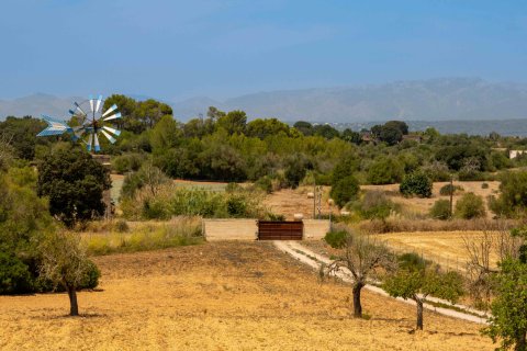 Finca for sale Algaida, Mallorca, Spain 4 bedrooms, 523 sq.m. No. 131029 - photo 3
