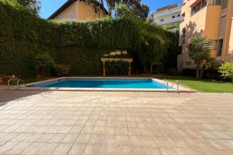 Apartment for rent Palma de Majorca, Mallorca, Spain 4 bedrooms, 169 sq.m. No. 131025 - photo 6