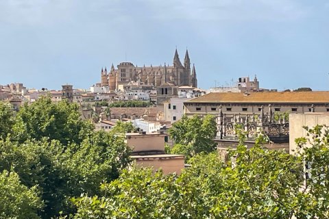 Dzīvoklis īrēšanai Palma de Majorca, Mallorca, Spānijā 3 istabas, 190 m2 Nr. 131000 - attēls 1