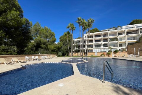 Apartment à vendre à Portals Nous, Mallorca, Espagne, 2 chambres, 87 m2 No. 130998 - photo 21