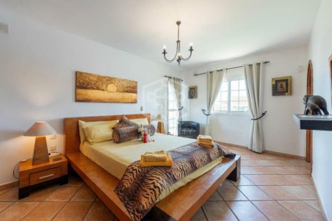 Villa for sale San Miguel de Abona, Tenerife, Spain 8 bedrooms, 530 sq.m. No. 130897 - photo 16