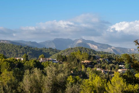 Finca pārdošanā Establiments, Mallorca, Spānijā 4 istabas, 300 m2 Nr. 128123 - attēls 30