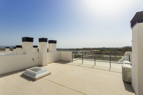 Продажа квартиры в Монфорте-дель-Сид, Аликанте, Испания 3 спальни, 145м2 №123443 - фото 26