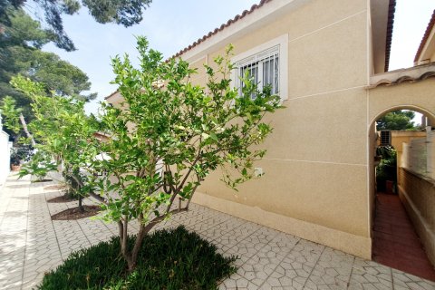 Huvila myytävänä Torrevieja, Alicante, Espanja, 3 makuuhuonetta, 224 m2 No. 129731 - kuva 6