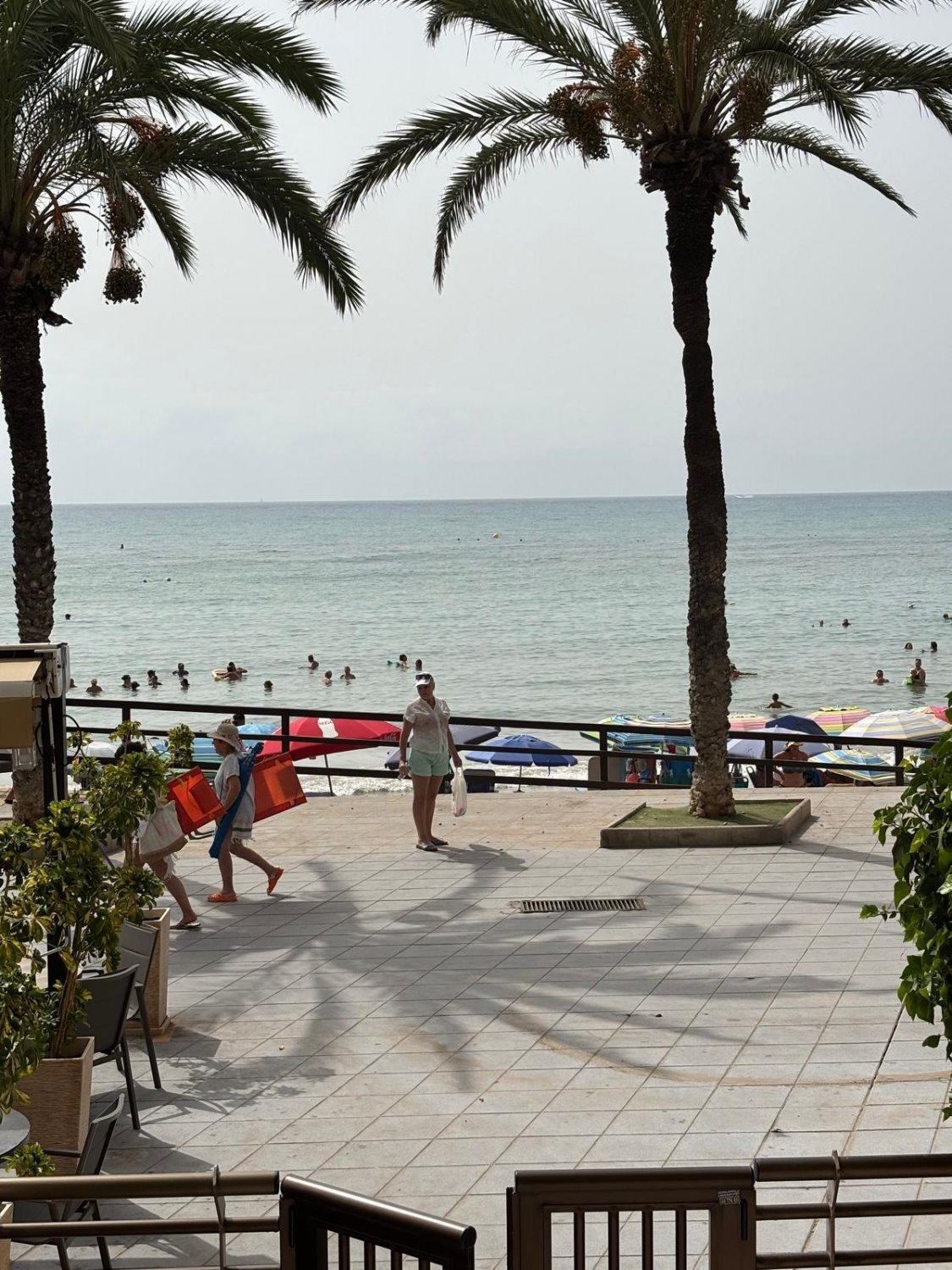 Wohnung in Torrevieja, Alicante, Spanien 3 Schlafzimmer, 93 m2 Nr. 131490