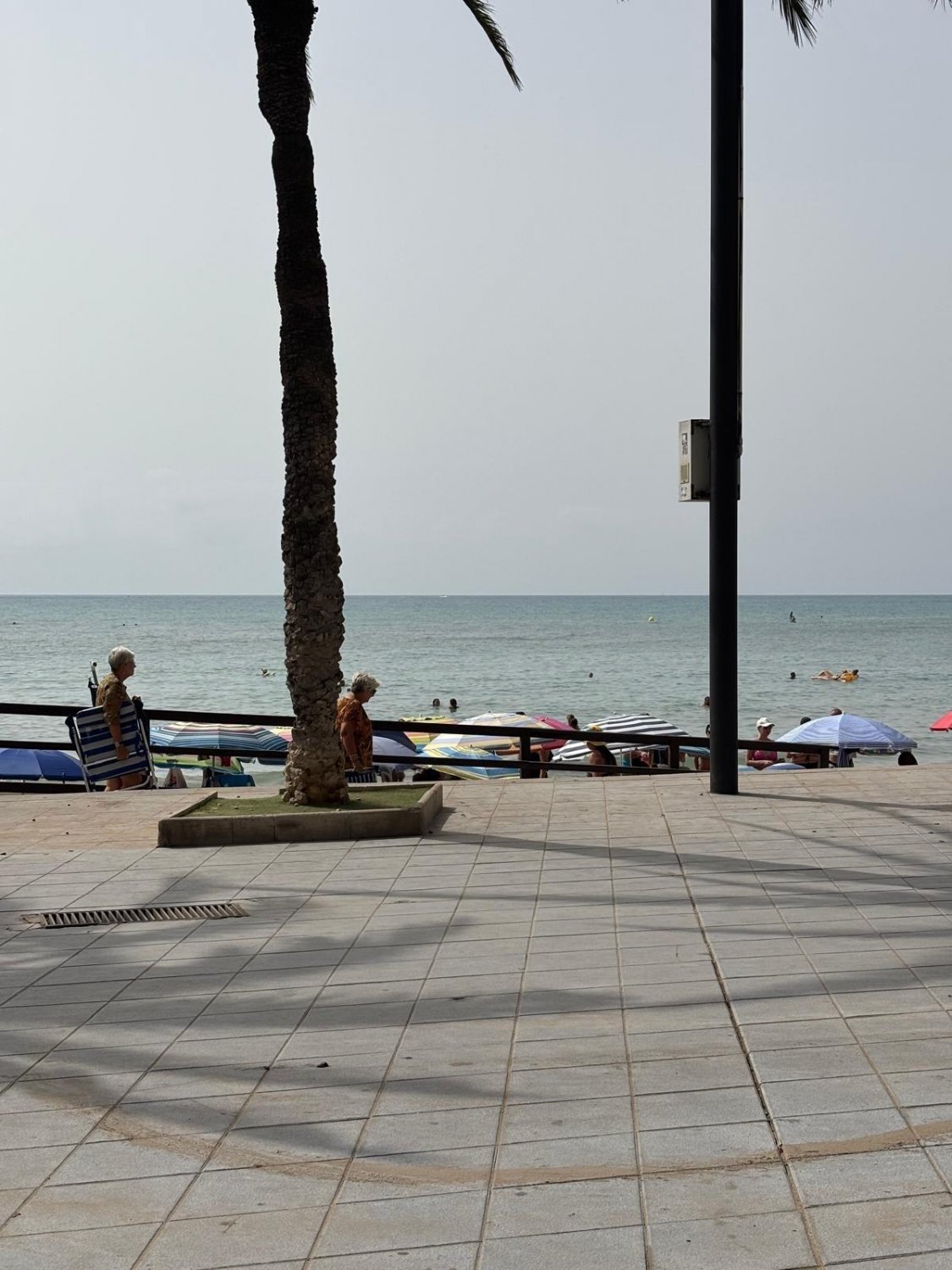 Wohnung in Torrevieja, Alicante, Spanien 3 Schlafzimmer, 93 m2 Nr. 131490