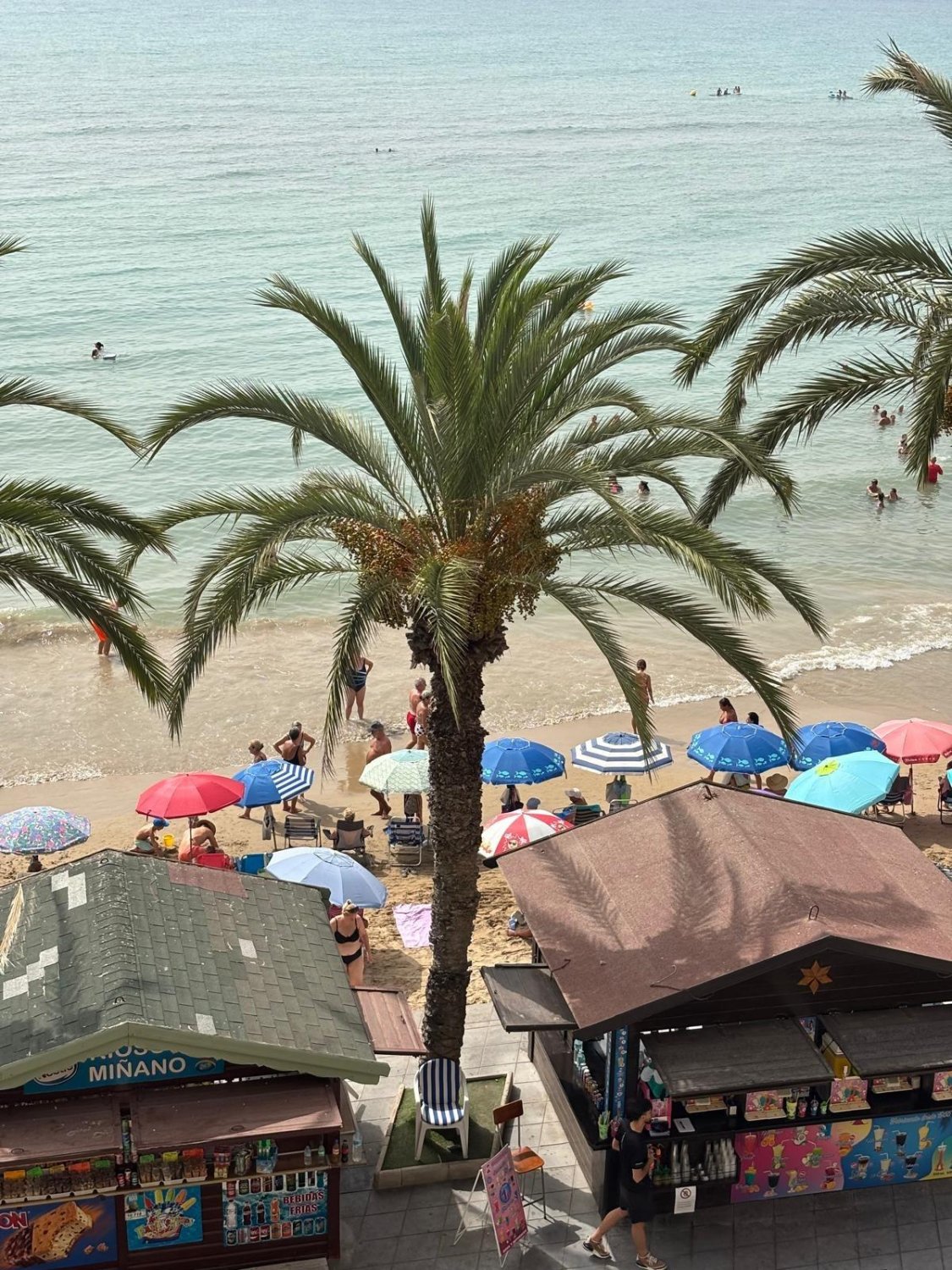 Wohnung in Torrevieja, Alicante, Spanien 3 Schlafzimmer, 93 m2 Nr. 131490