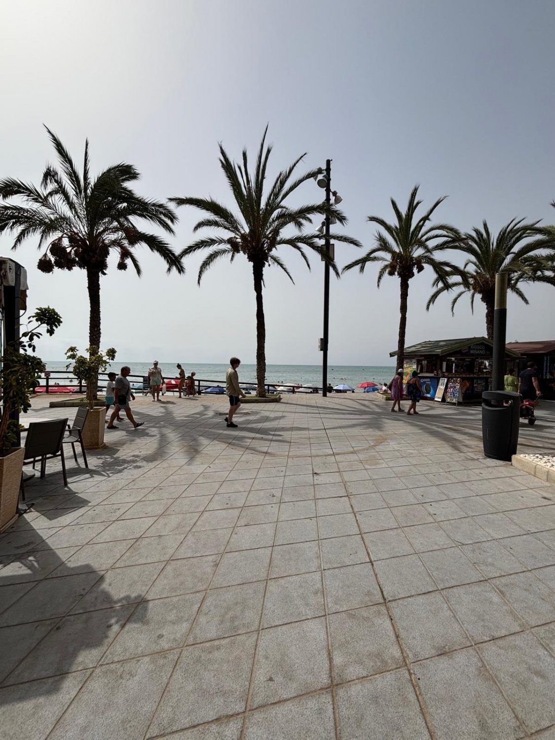 Wohnung in Torrevieja, Alicante, Spanien 3 Schlafzimmer, 93 m2 Nr. 131490