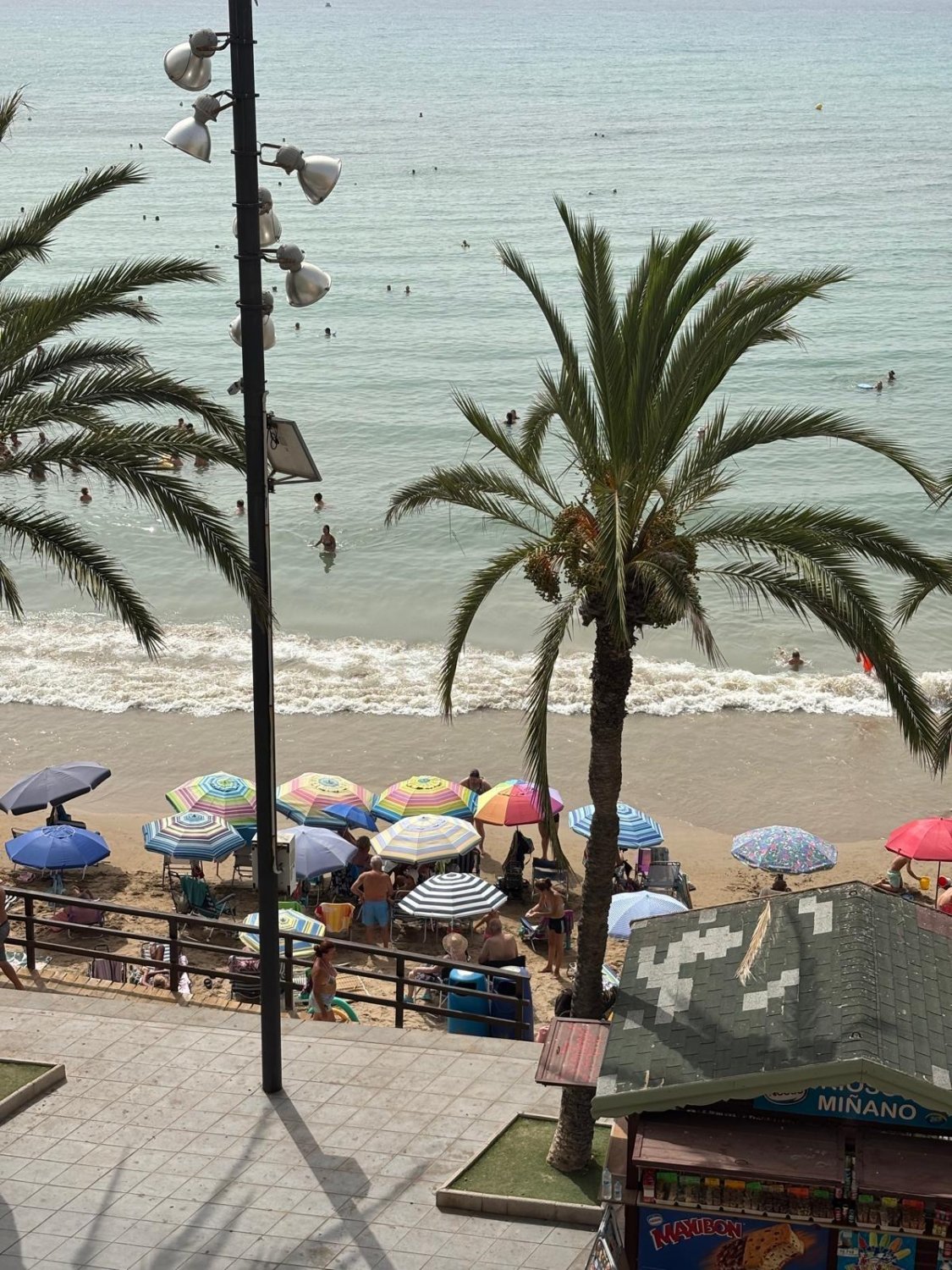 Wohnung in Torrevieja, Alicante, Spanien 3 Schlafzimmer, 93 m2 Nr. 131490