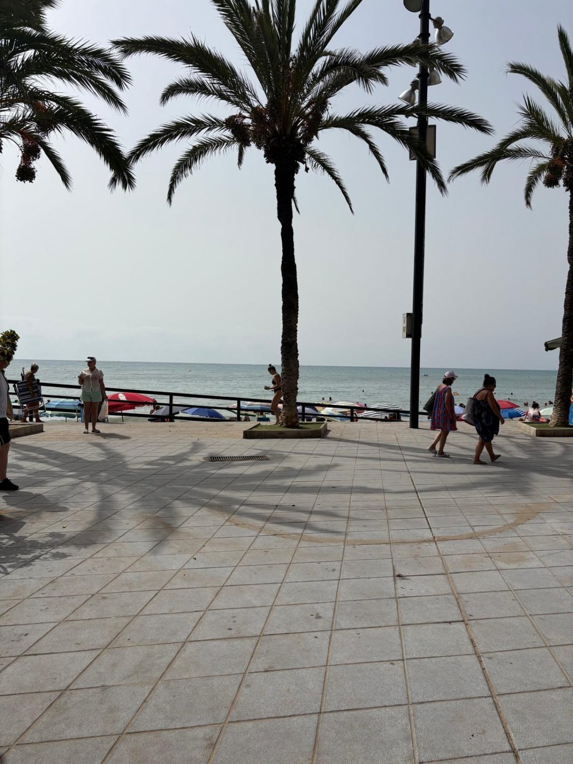 Wohnung in Torrevieja, Alicante, Spanien 3 Schlafzimmer, 93 m2 Nr. 131490